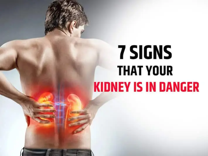 Chronic Kidney Disease: 7 Indicators That Say Your Kidney Is In Danger