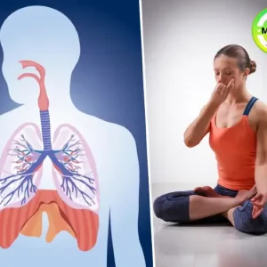 Tips To Detox Lungs Naturally As Per Ayurveda | Health Tips